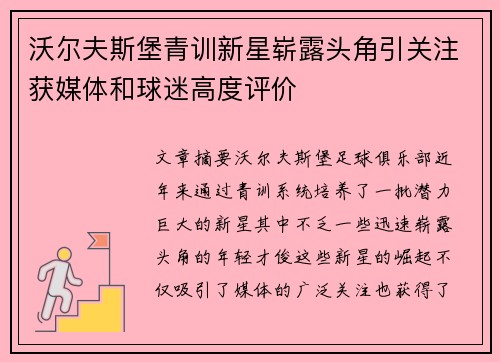 沃尔夫斯堡青训新星崭露头角引关注获媒体和球迷高度评价